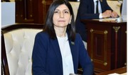Deputat: Media resurslarına edilən hücumlar əsasən siyasi motivlidir