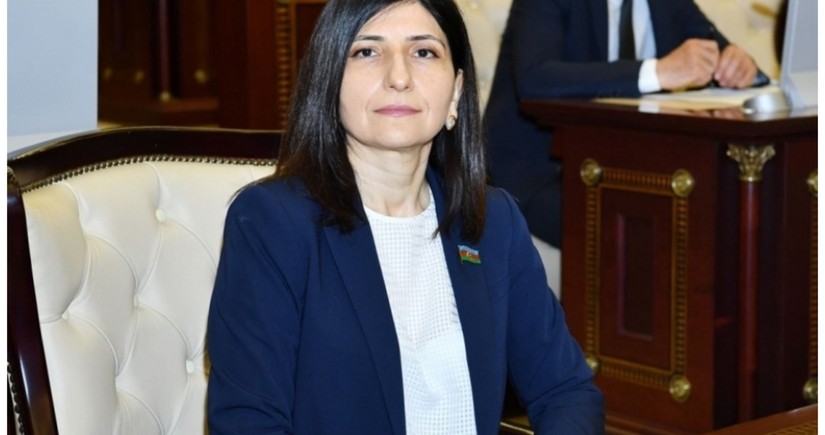 Deputat: Media resurslarına edilən hücumlar əsasən siyasi motivlidir