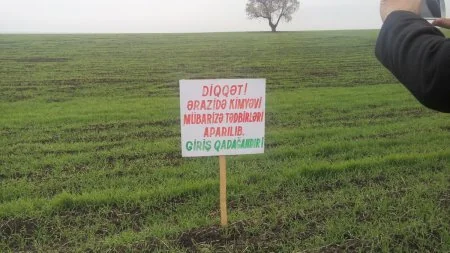 Nazirlik: Ötən il xüsusi təhlükəli zərərli orqanizmlərə qarşı kompleks mübarizə tədbirləri həyata keçirilib