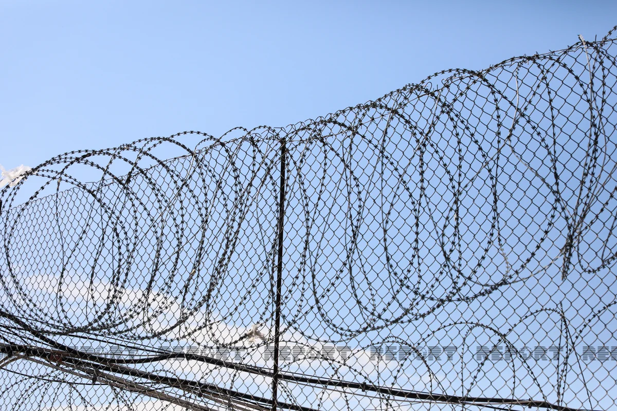 Əfv sərəncamı 9 saylı Cəzaçəkmə Müəssisəsində icra olunub