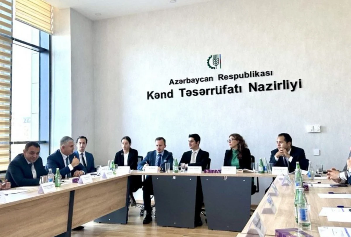Azərbaycan aqrar məhsulların ixracında THY-nin xidmətindən yararlana bilər