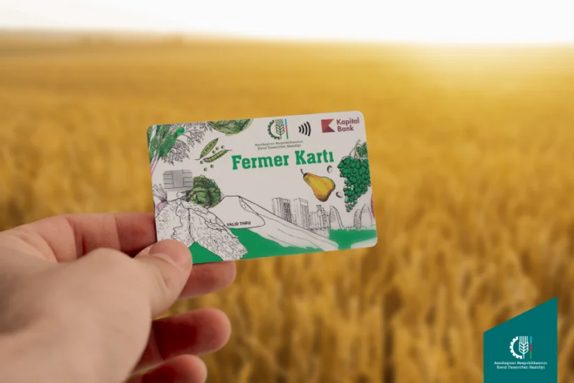 Payızlıq əkinlərə görə fermerlərə ödənilmiş subsidiyaların məbləği açıqlanıb