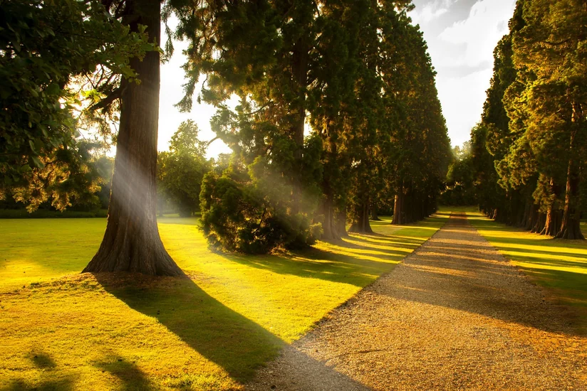 ​Sabah hava yağmursuz keçəcək