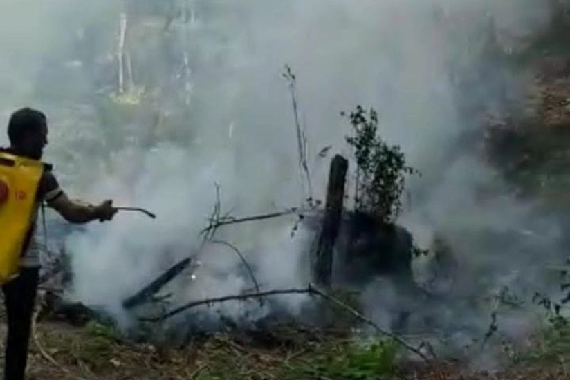 Fire spreads to forest from territory of Siyazan municipality