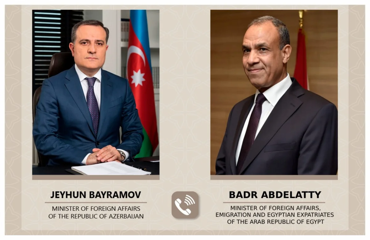 Azerbaijani, Egyptian FMs discuss cooperation