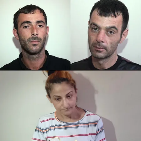 Bərdədə narkotik tərkibli bitki becərən qadın tutulub