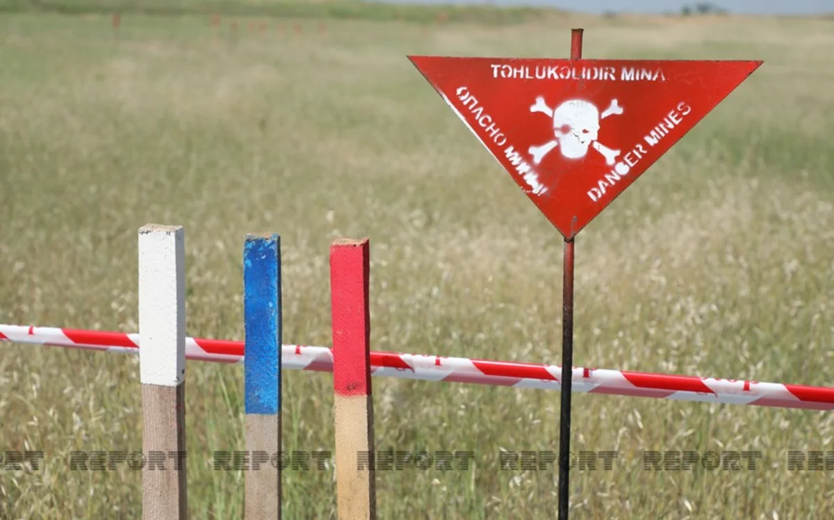 На освобождённых территориях обнаружены 177 мин