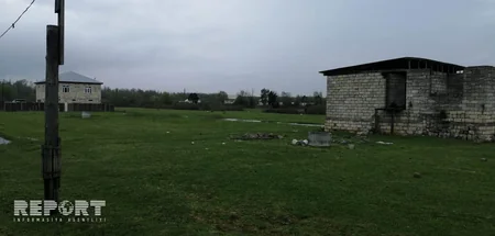 Lənkəranda 17 yaşlı oğlan idman fəndi ilə qətlə yetirilib - FOTO - YENİLƏNİB-2