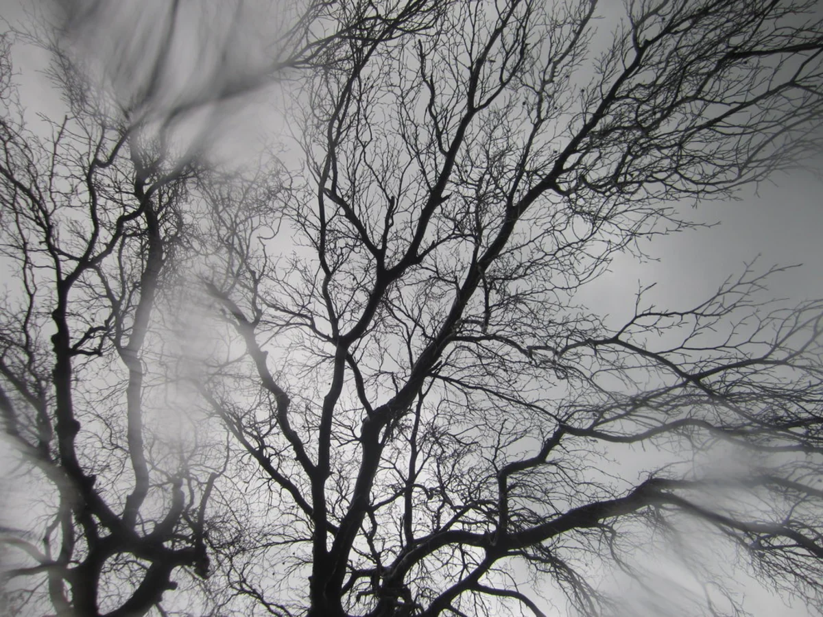 ​Завтра в некоторых районах Азербайджана прогнозируются ливни и град