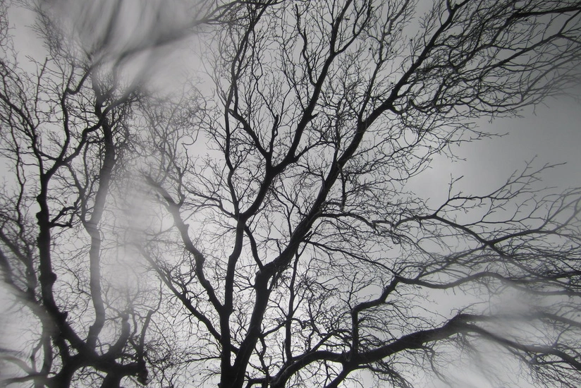 Torrential rain and hail predicted in some Azerbaijani regions