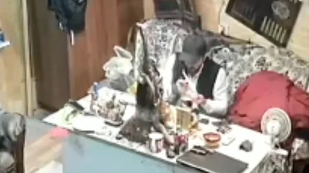 Pirallahıda narkotik satan şəxslər saxlanılıb