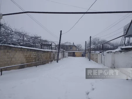 Salyanda qar elektrik təsərrüfatında fəsadlar törədib, 20-yə yaxın kənd işıqsız qalıb