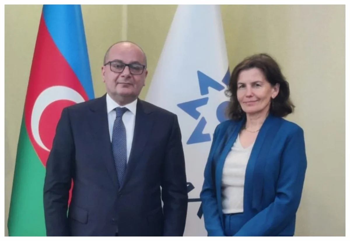 French ambassador discusses demining issues with ANAMA chairman