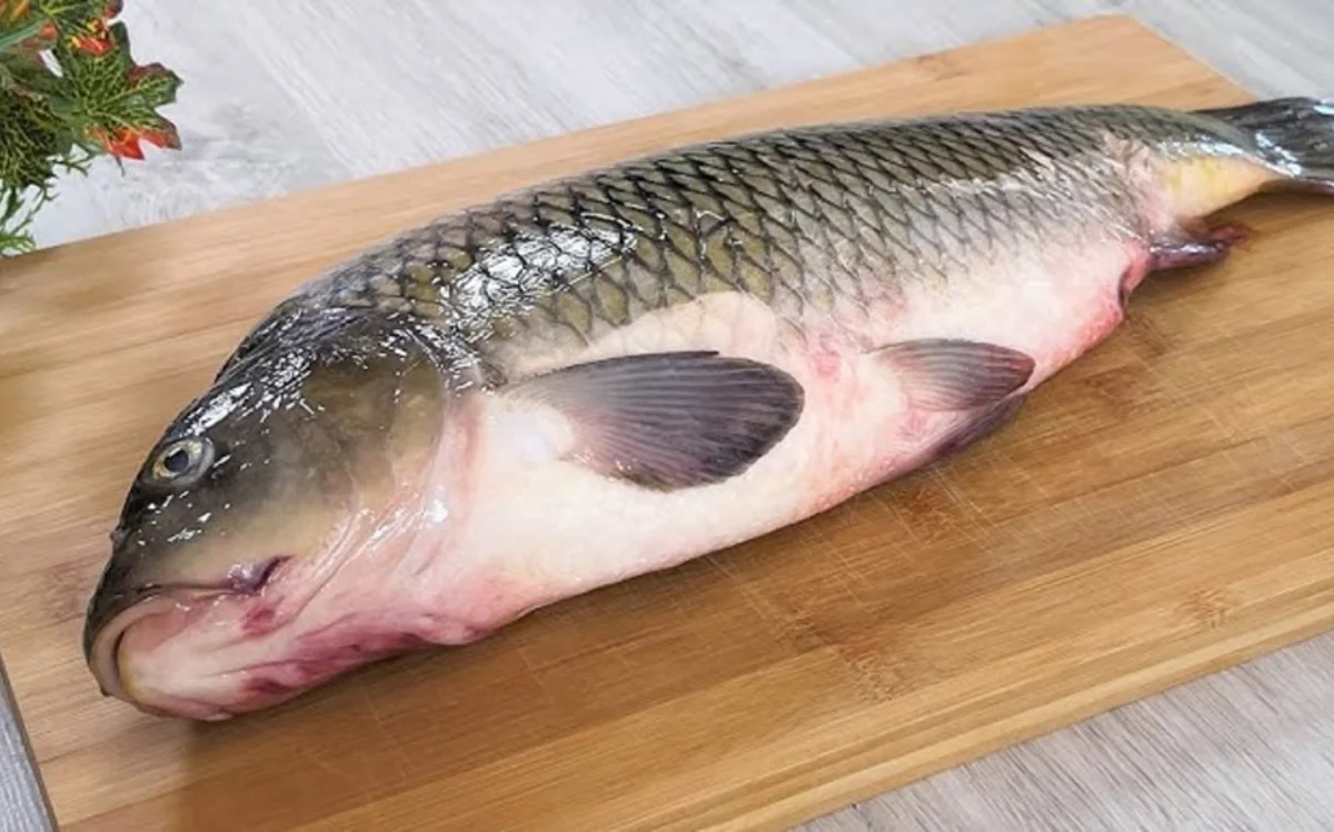 Azərbaycan İrandan karp balığının idxalını kəskin artırıb