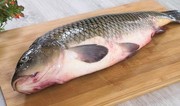 Azerbaijan’s carp imports from Iran doubled in 1H2025