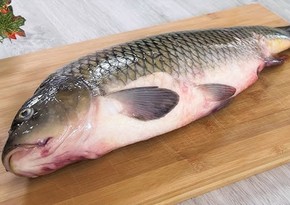 Azerbaijan’s carp imports from Iran doubled in 1H2025