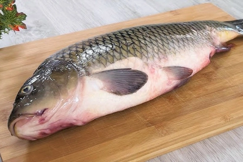 Azerbaijan’s carp imports from Iran doubled in 1H2025