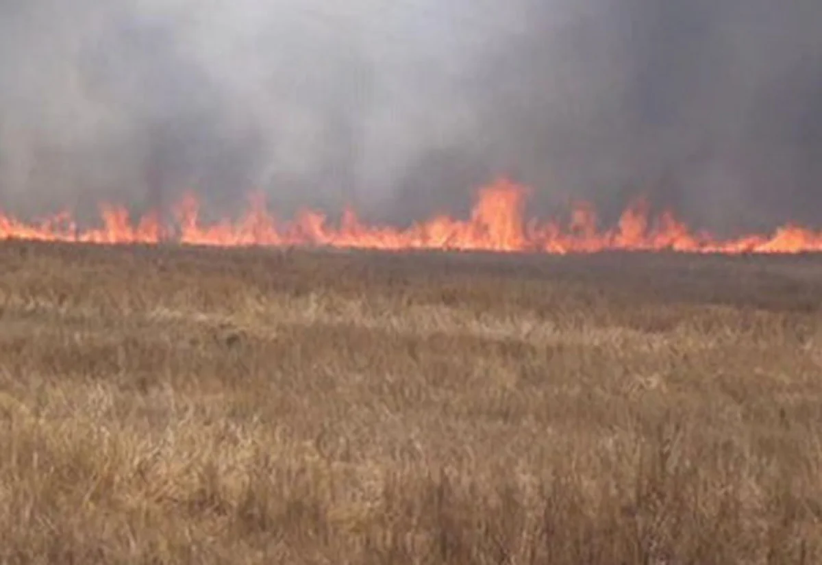 Azərbaycanın üç rayonunda hektarlarla sahə yanıb