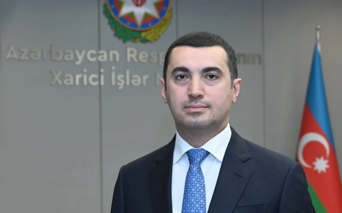 Azerbaijani MFA: Delimitation should be based on analysis of all legally significant documents