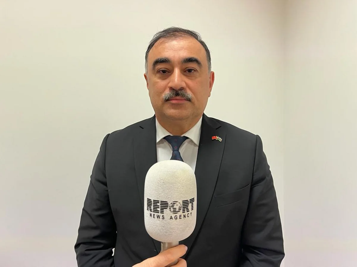 Səfir Rəşad Məmmədov Türkiyəyə yardımdan danışıb: Azərbaycanda olmayan ləvazimatları xaricdən sifariş veririk