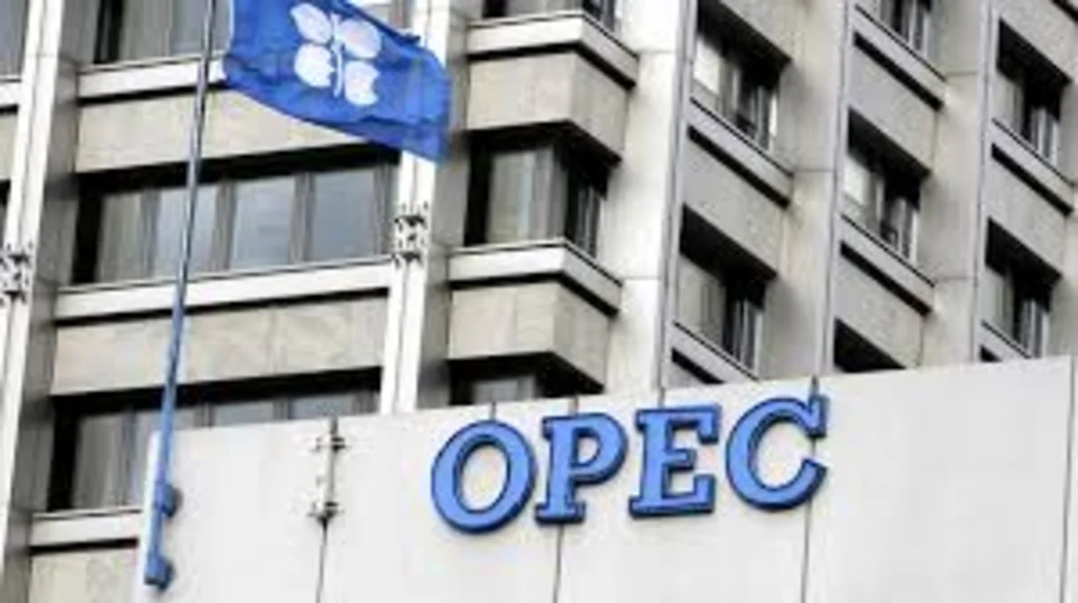 Baş katib: OPEC hasilat qərarını mayın 25-də verəcək