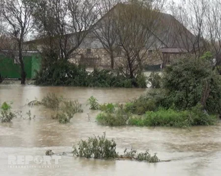 Cənub bölgəsində sel sularının yaratdığı fəsadlar - FOTOREPORTAJ