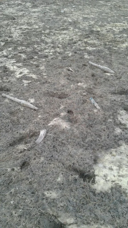 Gədəbəydə 33 ədəd müxtəlif tipli hərbi sursat aşkar edilib - FOTO