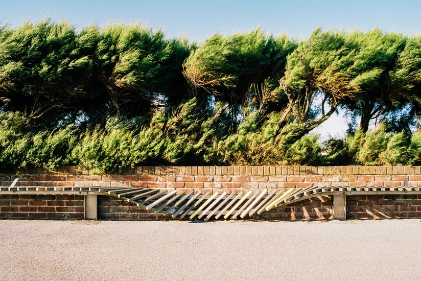 Sabahdan güclü külək əsəcək, şimşək çaxacaq, yağış yağacaq - XƏBƏRDARLIQ