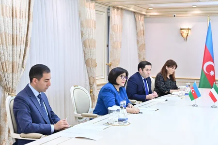 Milli Məclisin sədri Küveytin Azərbaycandakı səfiri ilə görüşüb