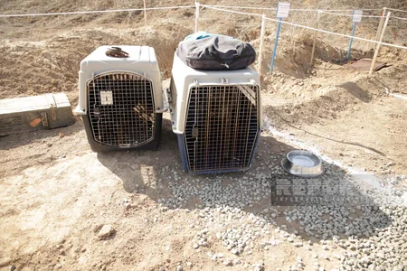 ANAMA-nın təlim heyəti genişlənir, vəsaitlər çoxaldılır