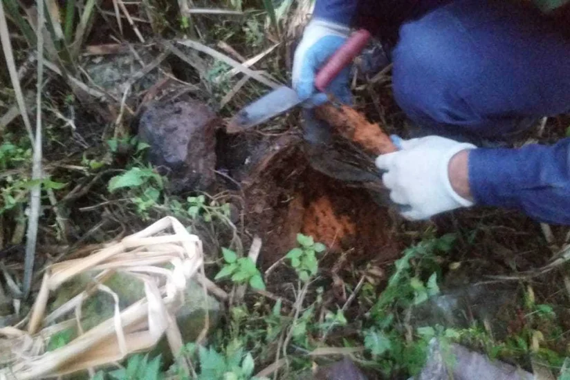 Göygöldə 25 ədəd top mərmisi tapılıb