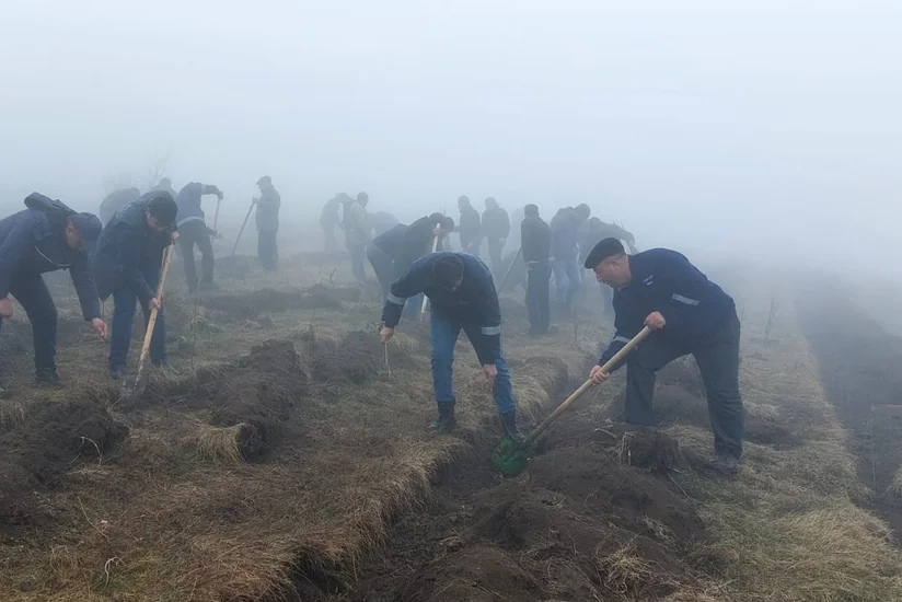 Azərbaycanın 12 rayonunda Torpaq çərşənbəsində 32 mindən çox ağac əkilib