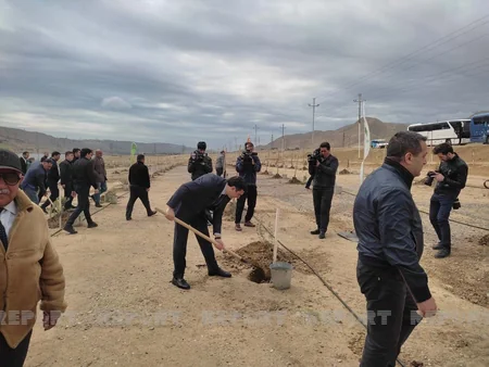Bakıda Beynəlxalq Bitki Sağlamlığı Günü münasibətilə ağacəkmə aksiyası keçirilib