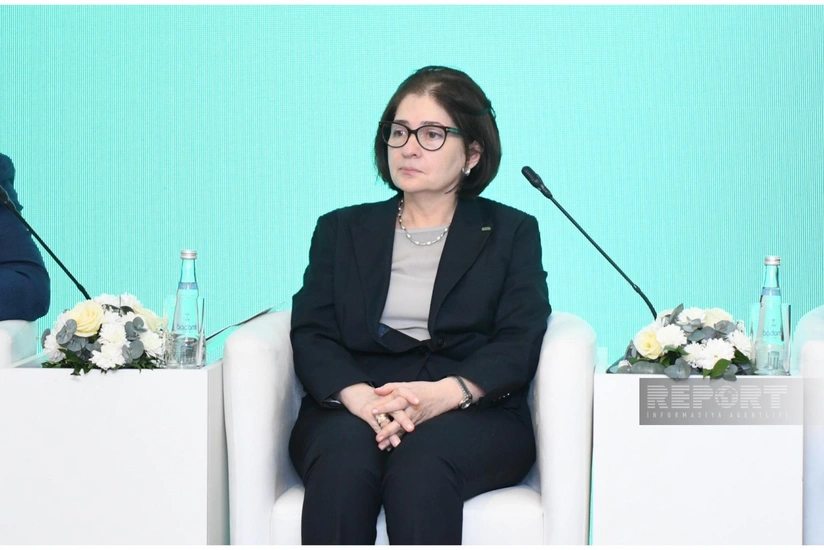 İndira Hacıyeva: Gənclərin inkişafında elm, siyasi iradə və fərdlərin davranışına diqqət yetirilməlidir