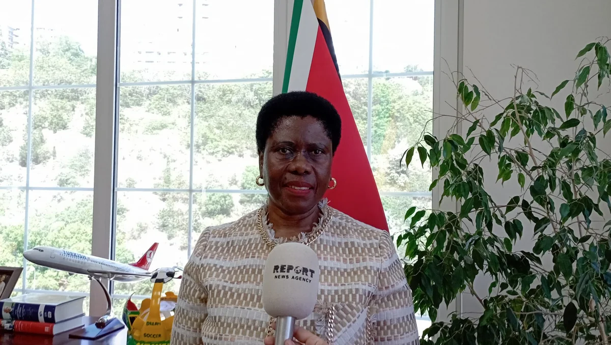 SAR ambassador: South Africa ready to encourage int'l efforts to produce lasting peace in South Caucasus
