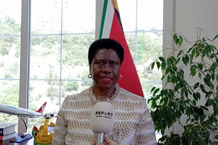 SAR ambassador: South Africa ready to encourage int'l efforts to produce lasting peace in South Caucasus