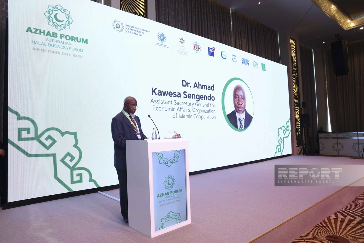 Global halal business to hit $6.7 trillion in 2024, says OIC official