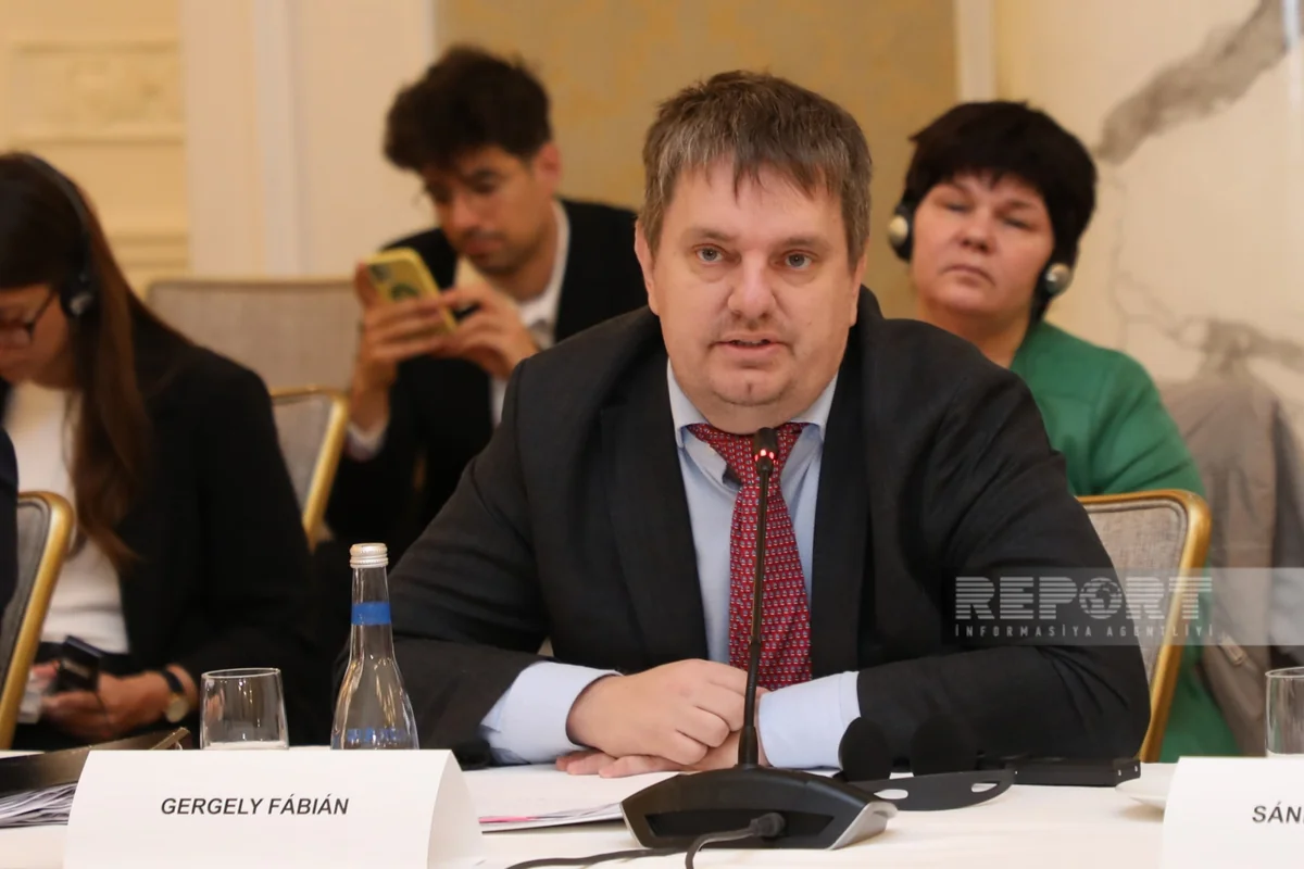 Hungary offers Azerbaijan cooperation in bus production