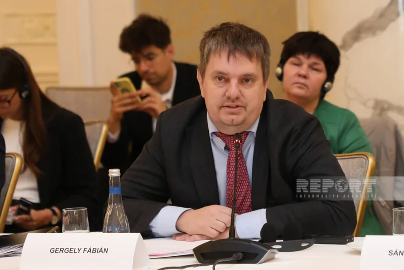 Венгрия предлагает Азербайджану сотрудничество в производстве автобусов