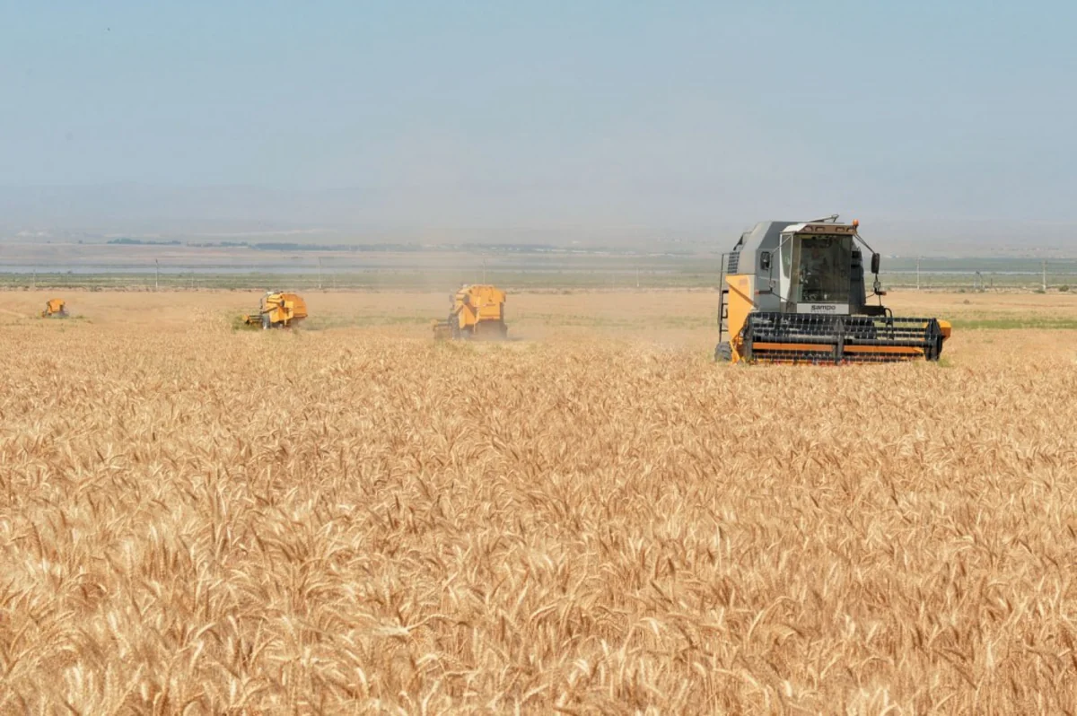 Azerbaijan President gives special instruction for grain-growing development