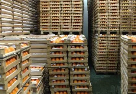 Göyçayda güzəştli kredit hesabına logistika mərkəzi tikilir