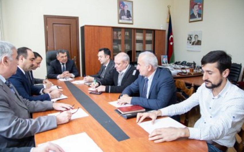 Arıçılara subsidiyaların verilməsinə başlanılıb