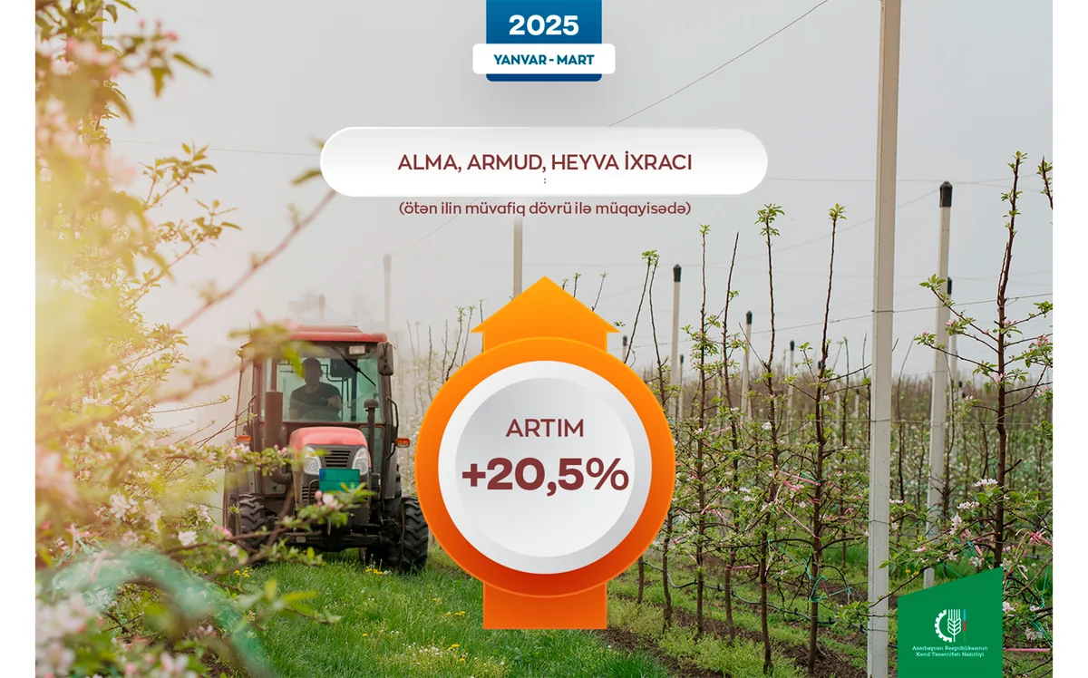 Azərbaycandan bu il alma, armud və heyva ixracı 20 %-dən çox artıb
