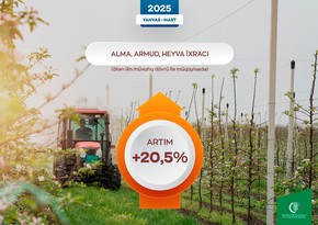 Azərbaycandan bu il alma, armud və heyva ixracı 20 %-dən çox artıb