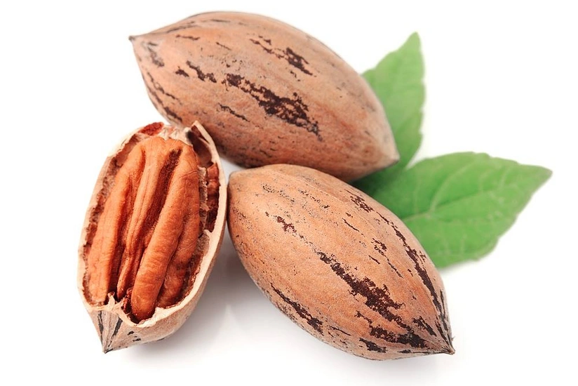 Azərbaycan Çindən hind qozu tədarükünü bərpa edib