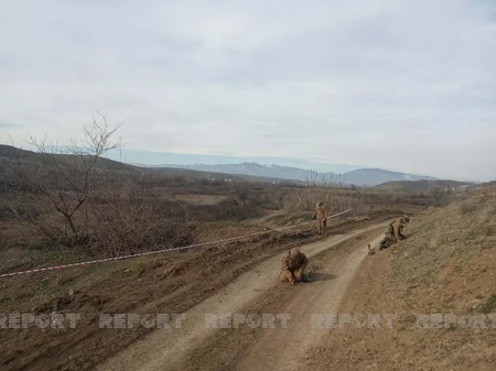 Füzulidə minalar zərərsizləşdirilib