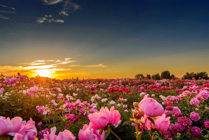 Sabaha olan hava proqnozu açıqlanıb