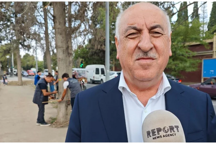 Gəncədə ilk dəfə qurumuş və qəzalı ağaclarla bağlı pilot layihəyə başlanılıb