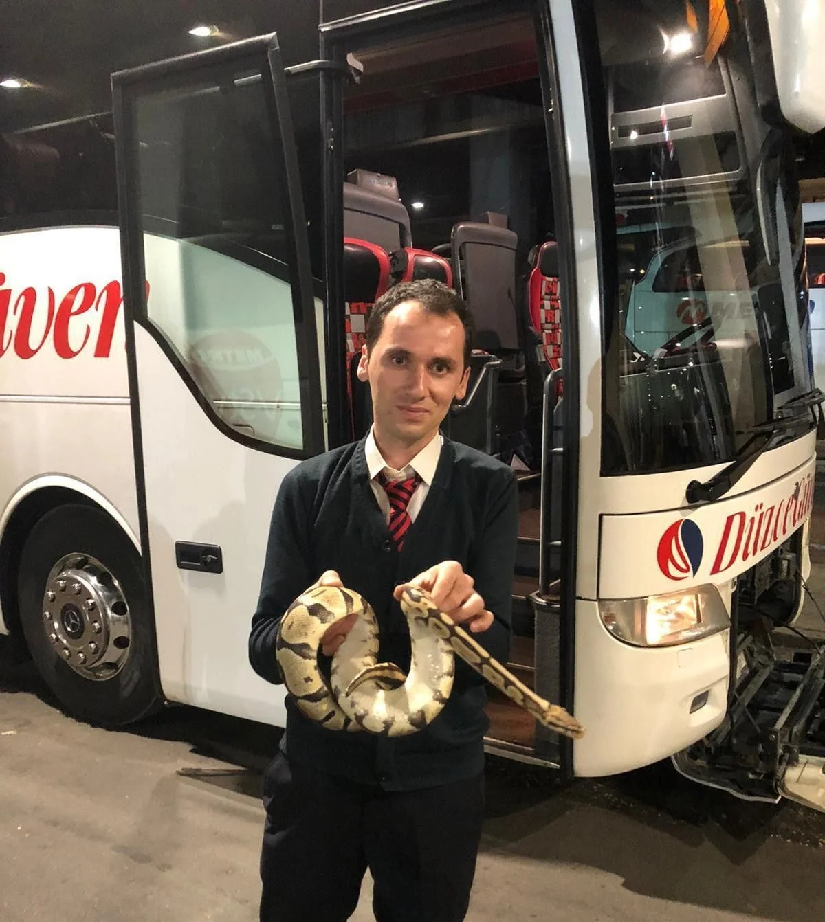 Sərnişin avtobusuna pitonla mindi, ilan çemodandan qaçdı