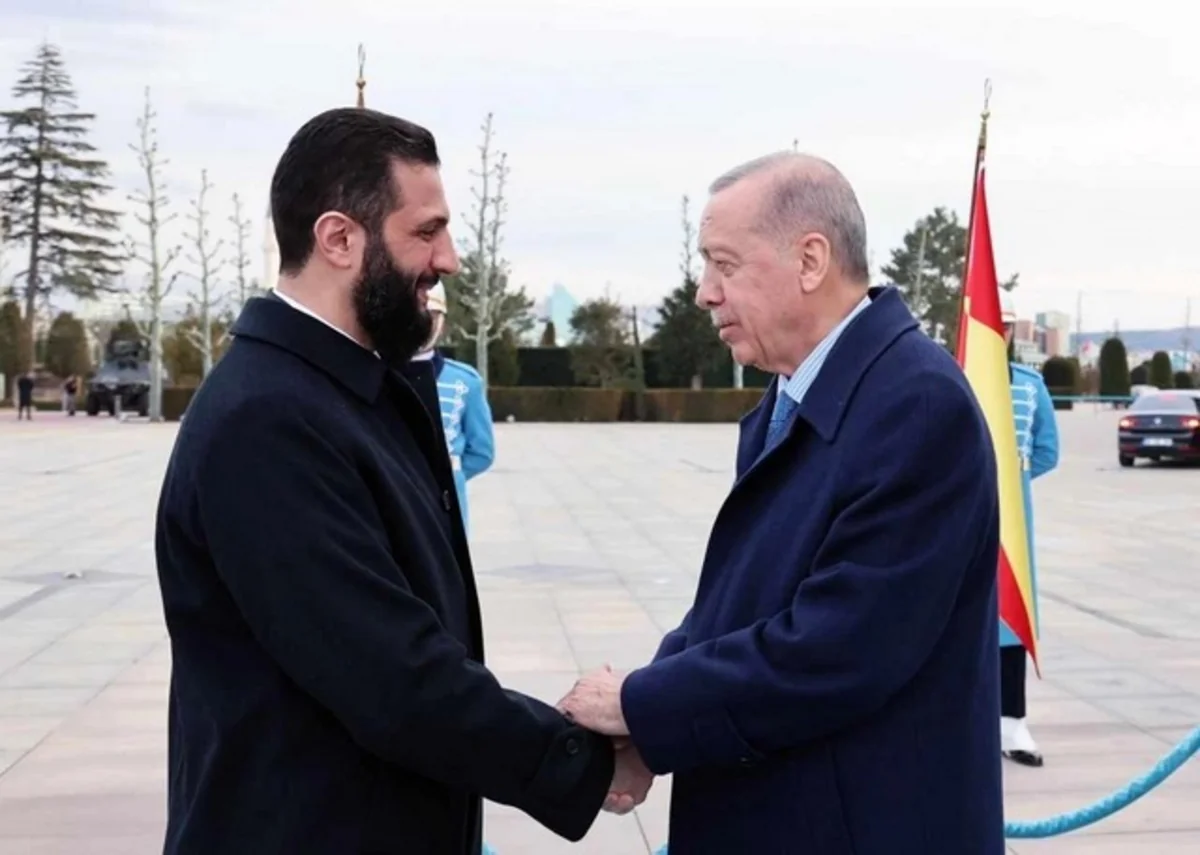 В Сирии могут разместить военные базы Турции